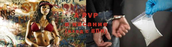 амф Алексин
