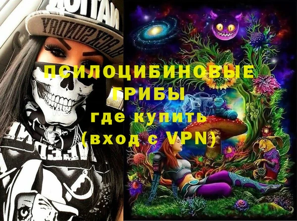 дмт Абаза