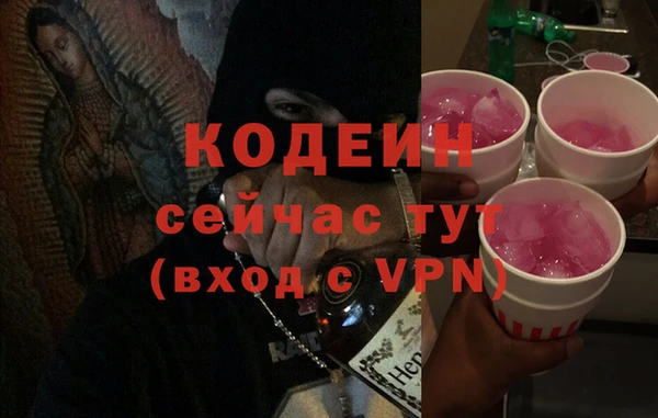 дмт Абаза