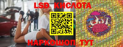 ГАЛЛЮЦИНОГЕННЫЕ ГРИБЫ Сланцы