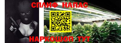 ГАЛЛЮЦИНОГЕННЫЕ ГРИБЫ Сланцы
