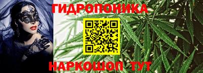 ПСИЛОЦИБИНОВЫЕ ГРИБЫ Среднеуральск