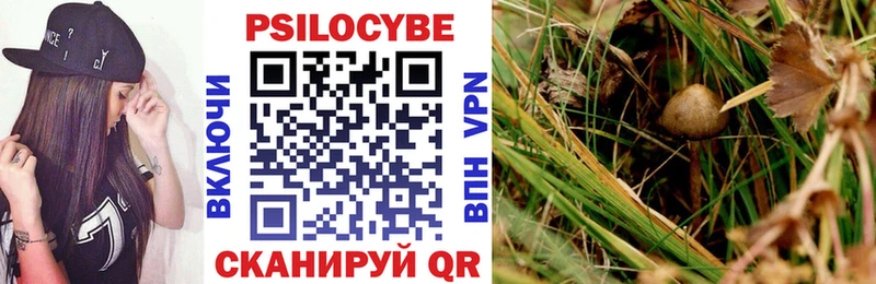 hydra как войти  Сафоново  Галлюциногенные грибы Cubensis  где найти наркотики 