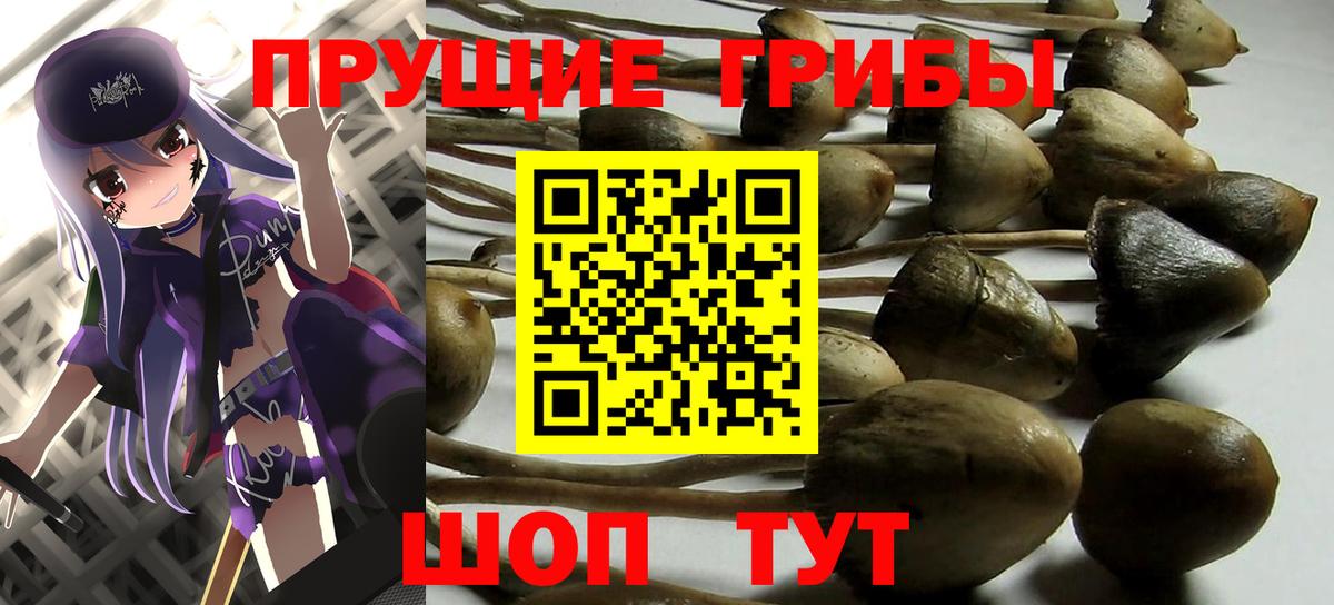 Сафоново  Псилоцибиновые грибы Magic Shrooms  Вход с VPN  Галлюциногенные грибы мухоморы 