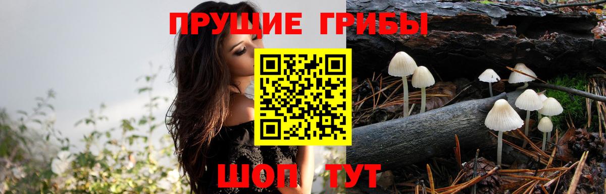 Псилоцибиновые грибы Magic Shrooms Сафоново