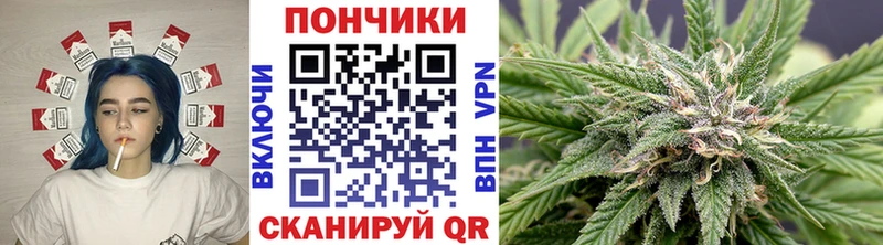 купить цена Сафоново Шишки марихуана тримм